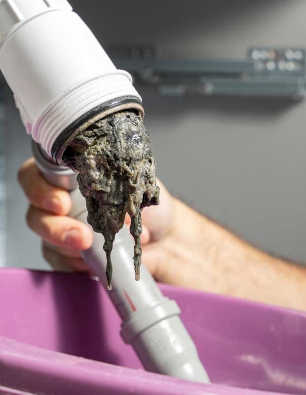 Drain Cleaning Services Drain Cleaning Services