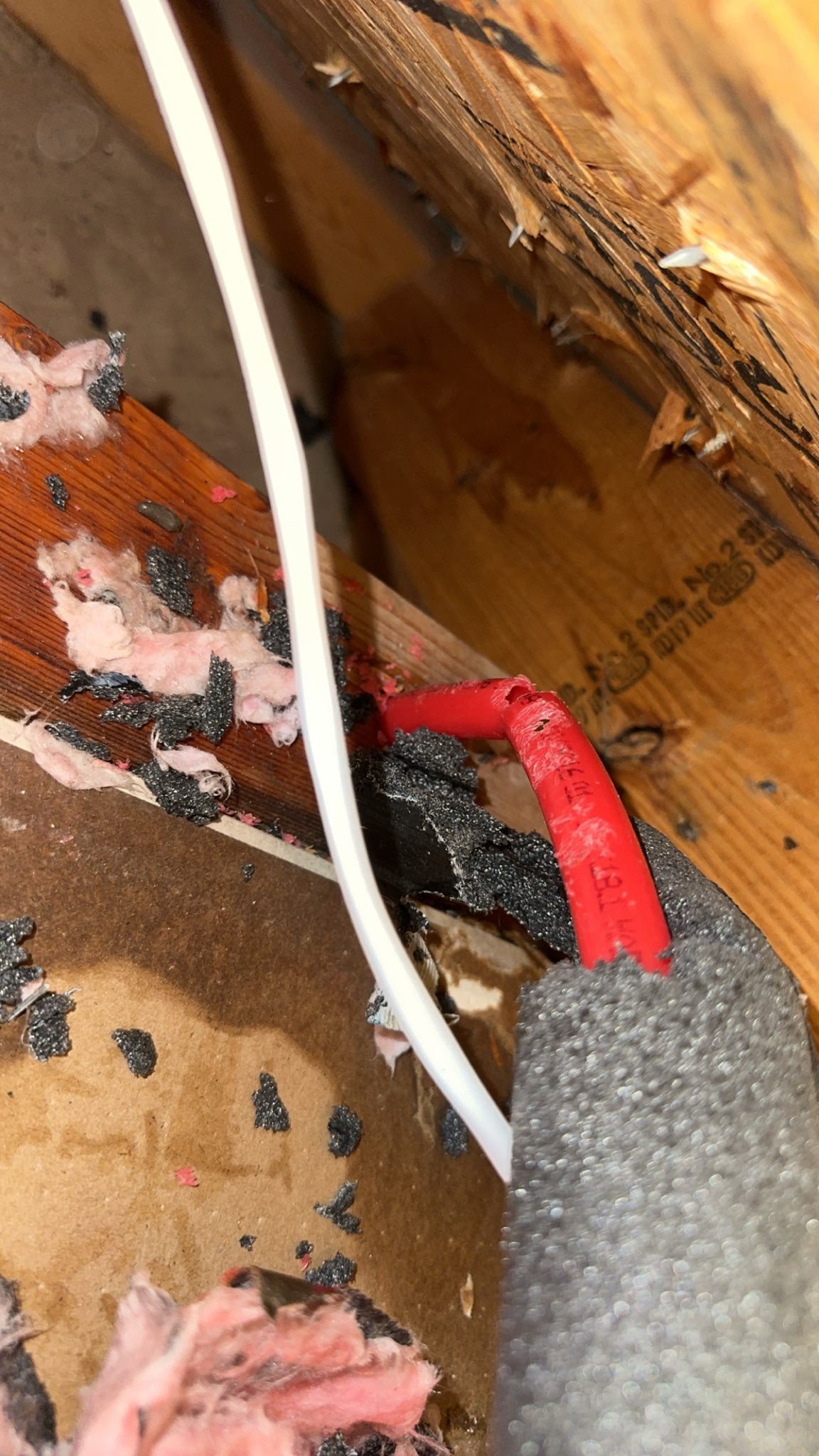 Gallery Plumbintended 1 1745860108 Jpg Gallery Plumbintended 1 1745860108 Jpg