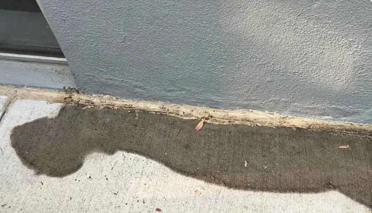 Gallery Slab Leak 2 1756312856 Png