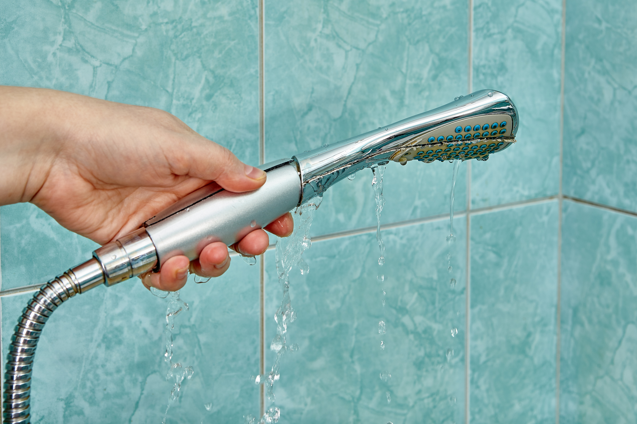 Gallery Showerhead Leak 1757012606 Jpg