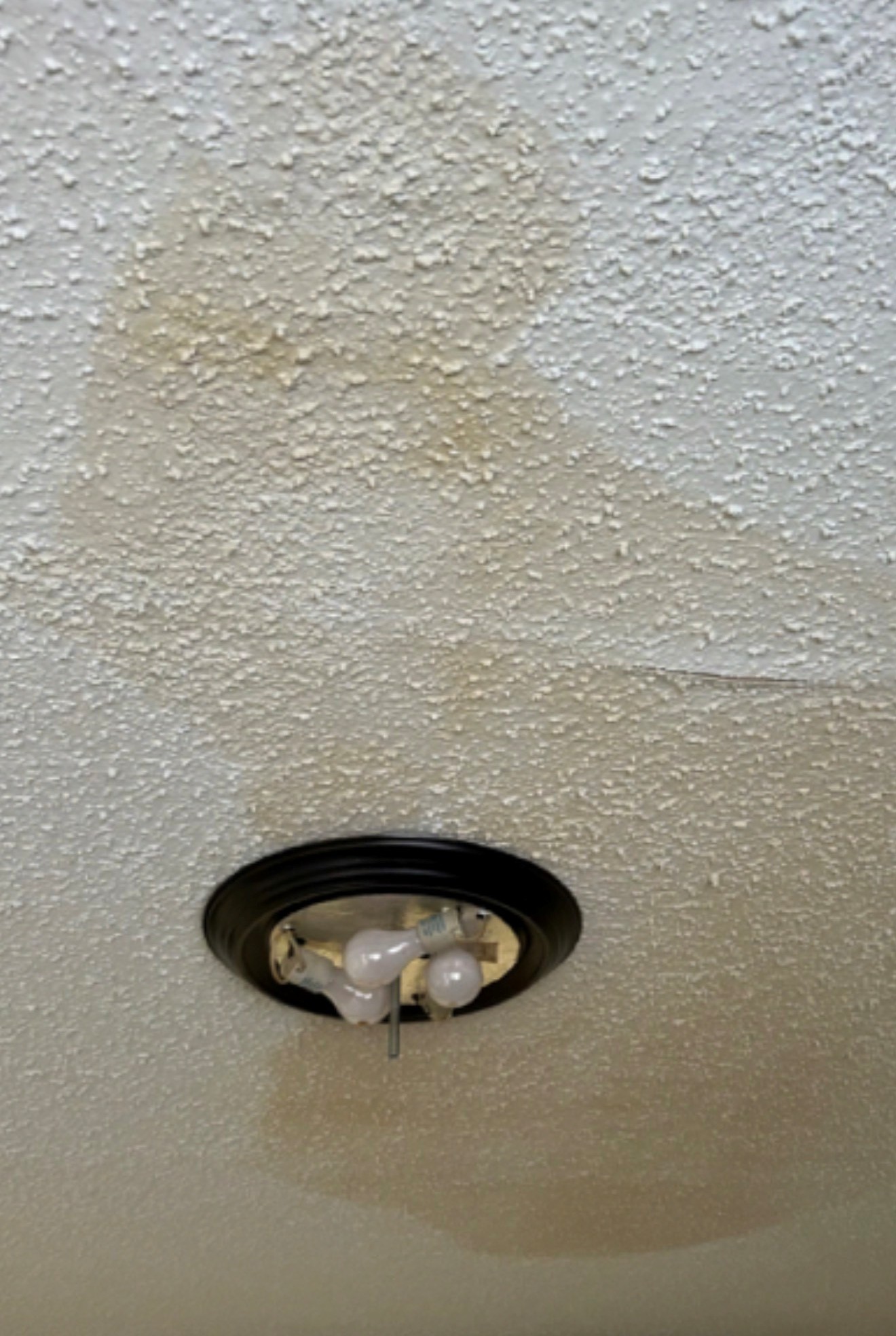 Gallery Leak 11 1761579088 Jpg