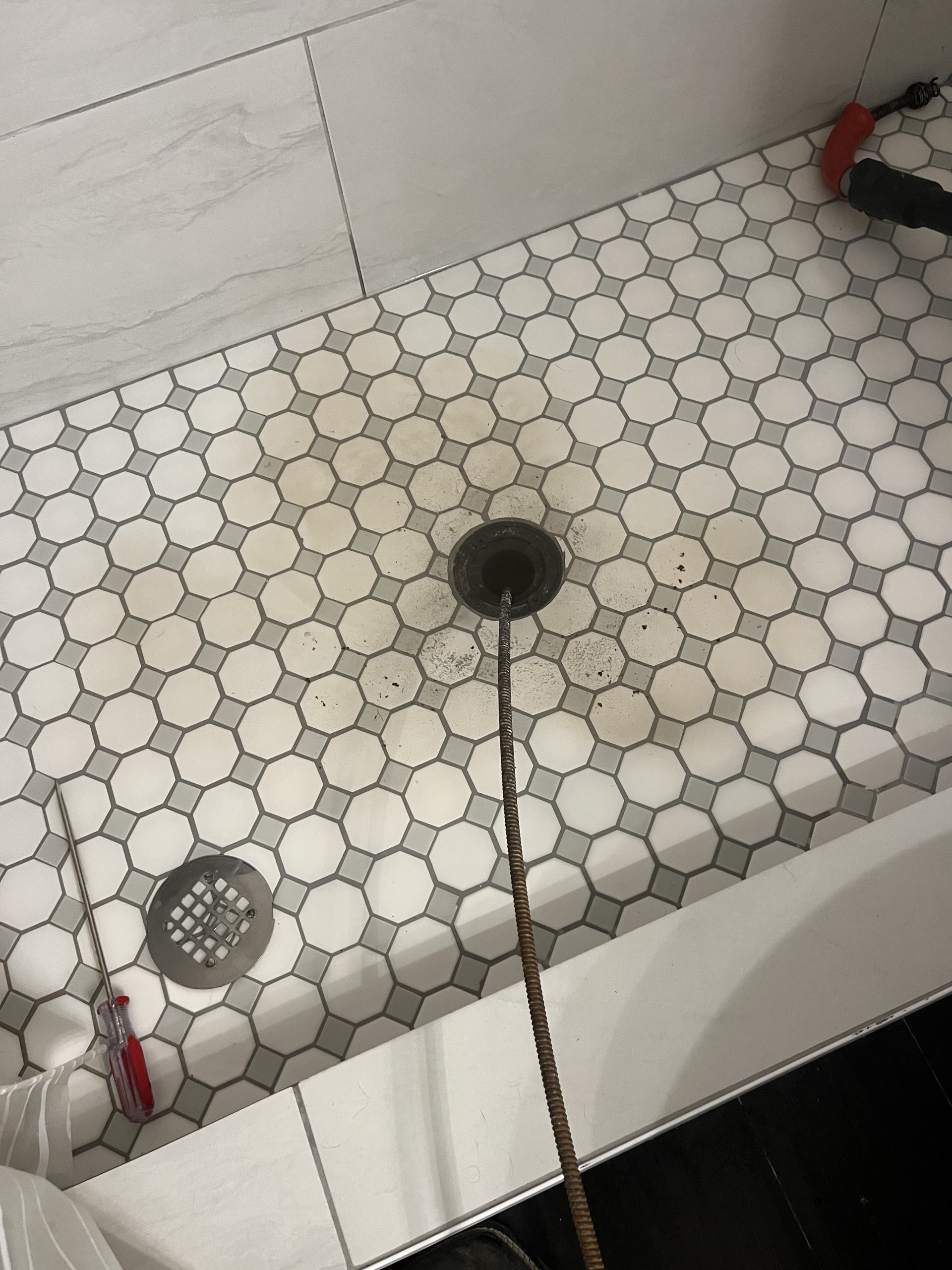 Gallery Img 0488 3 2 1766087374 Jpeg