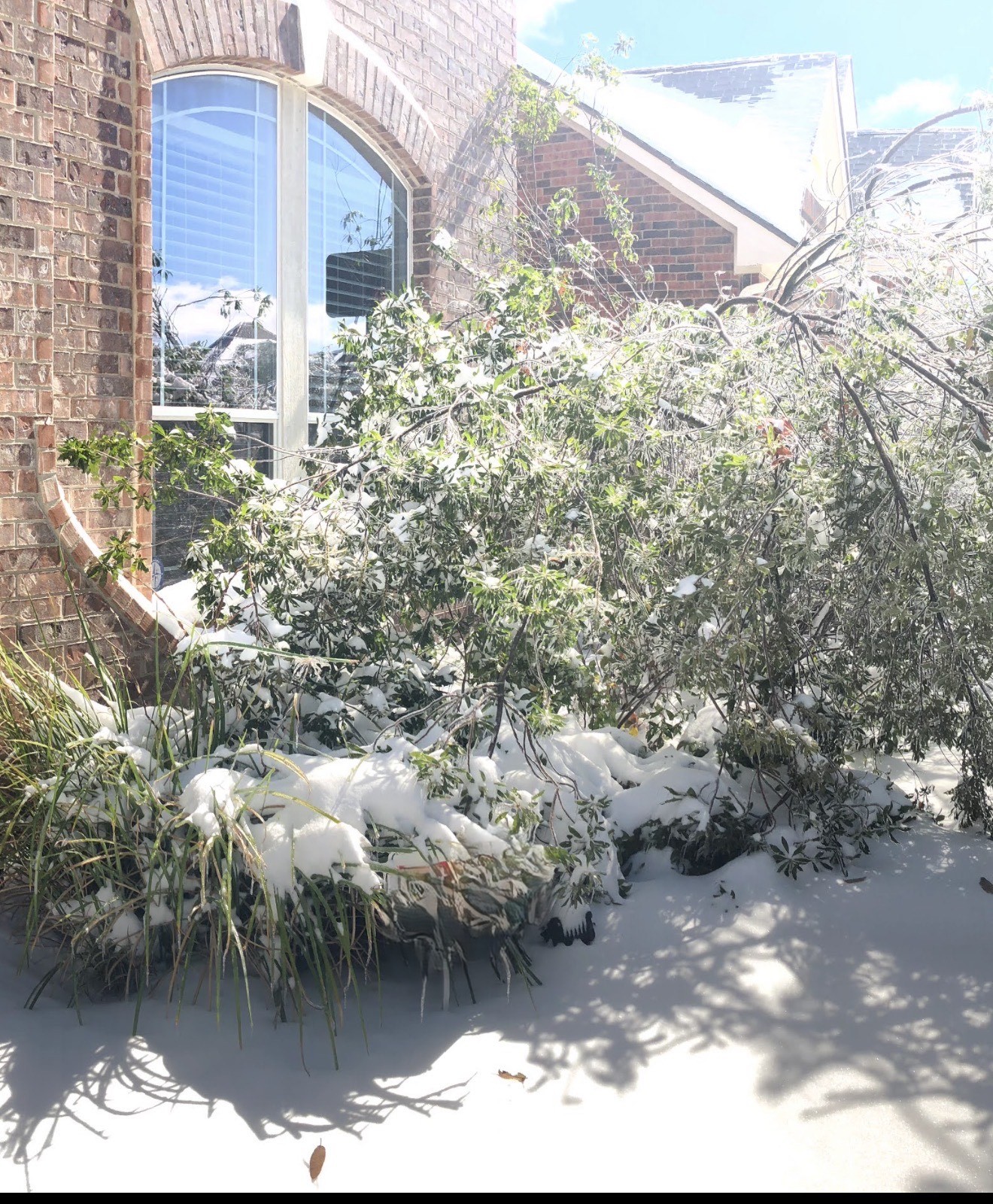 Gallery Img 4201 2 1769098216 Jpeg