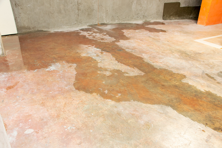 Gallery Plumb 1 2 1787216387 Jpg